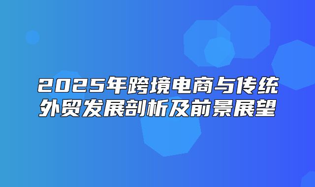 2025年跨境电商与传统外贸发展剖析及前景展望
