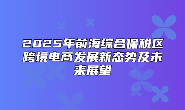 2025年前海综合保税区跨境电商发展新态势及未来展望