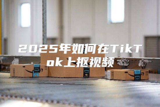 2025年如何在TikTok上抠视频