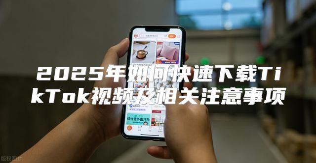 2025年如何快速下载TikTok视频及相关注意事项