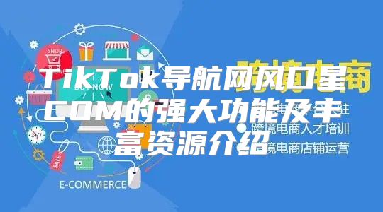 TikTok导航网风口星COM的强大功能及丰富资源介绍