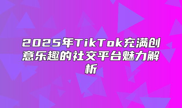 2025年TikTok充满创意乐趣的社交平台魅力解析