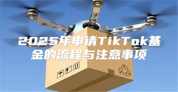 2025年申请TikTok基金的流程与注意事项