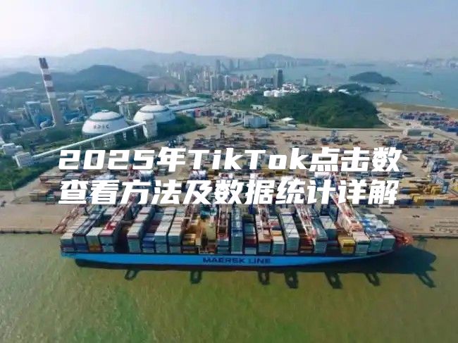 2025年TikTok点击数查看方法及数据统计详解