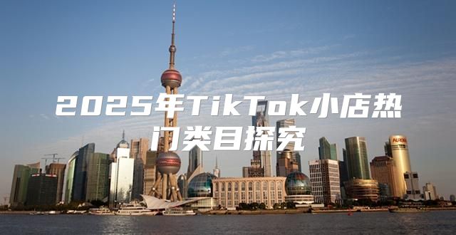 2025年TikTok小店热门类目探究