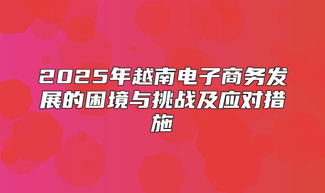 2025年越南电子商务发展的困境与挑战及应对措施