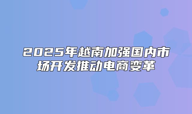 2025年越南加强国内市场开发推动电商变革