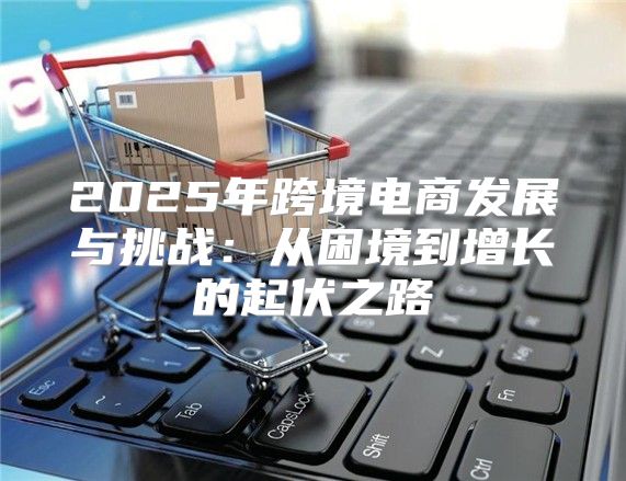 2025年跨境电商发展与挑战：从困境到增长的起伏之路