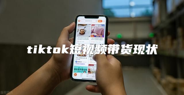 tiktok短视频带货现状