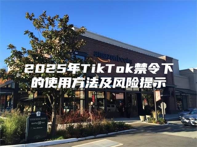 2025年TikTok禁令下的使用方法及风险提示