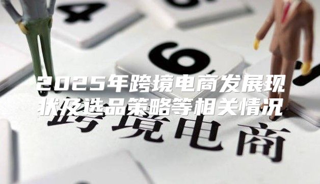 2025年跨境电商发展现状及选品策略等相关情况