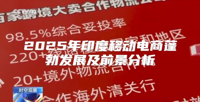 2025年印度移动电商蓬勃发展及前景分析