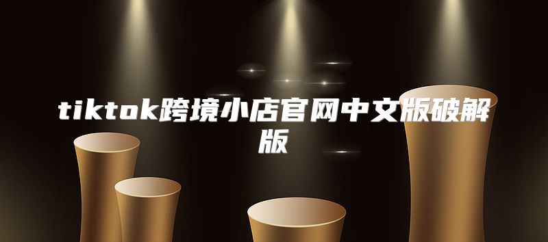 tiktok跨境小店官网中文版破解版