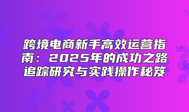 跨境电商新手高效运营指南：2025年的成功之路追踪研究与实践操作秘笈