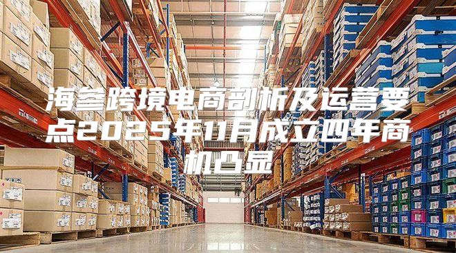 海参跨境电商剖析及运营要点2025年11月成立四年商机凸显