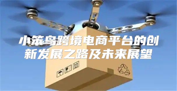 小笨鸟跨境电商平台的创新发展之路及未来展望