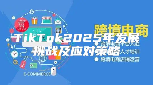 TikTok2025年发展挑战及应对策略