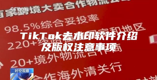 TikTok去水印软件介绍及版权注意事项