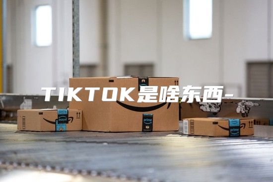 TIKTOK是啥东西-