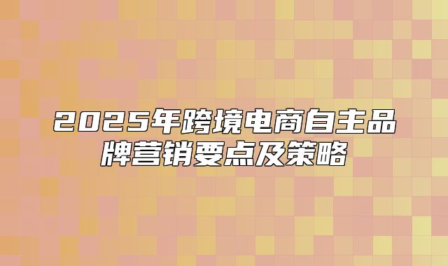 2025年跨境电商自主品牌营销要点及策略