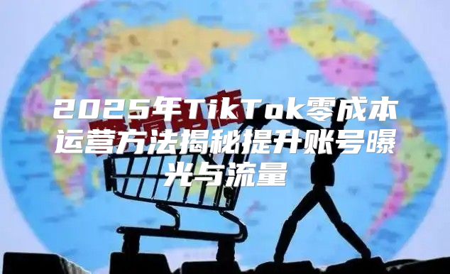 2025年TikTok零成本运营方法揭秘提升账号曝光与流量