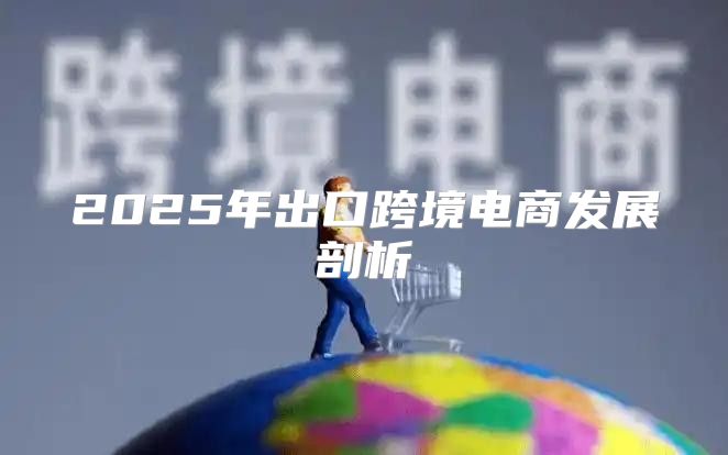 2025年出口跨境电商发展剖析