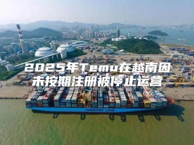 2025年Temu在越南因未按期注册被停止运营