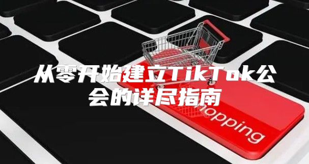 从零开始建立TikTok公会的详尽指南