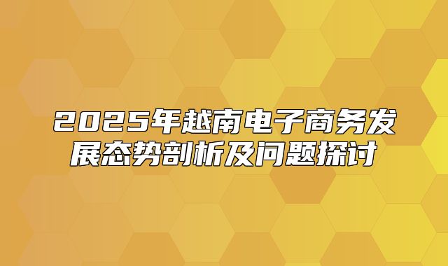 2025年越南电子商务发展态势剖析及问题探讨