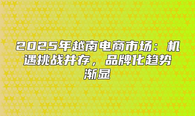 2025年越南电商市场：机遇挑战并存，品牌化趋势渐显
