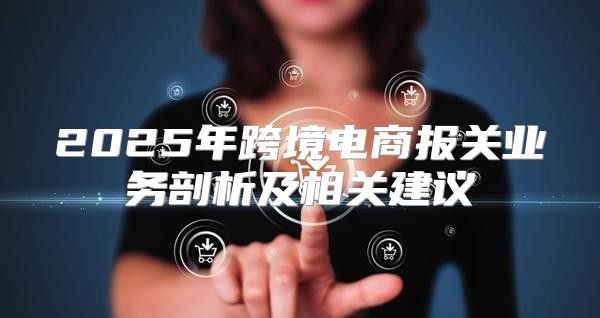 2025年跨境电商报关业务剖析及相关建议