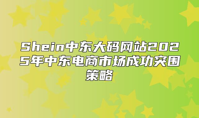 Shein中东大码网站2025年中东电商市场成功突围策略