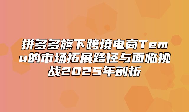 拼多多旗下跨境电商Temu的市场拓展路径与面临挑战2025年剖析