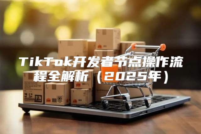 TikTok开发者节点操作流程全解析2025年