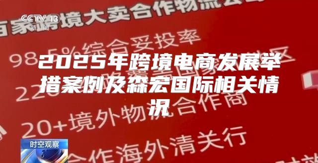 2025年跨境电商发展举措案例及森宏国际相关情况