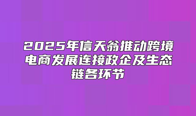 2025年信天翁推动跨境电商发展连接政企及生态链各环节