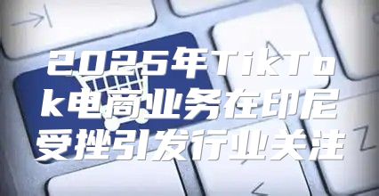 2025年TikTok电商业务在印尼受挫引发行业关注