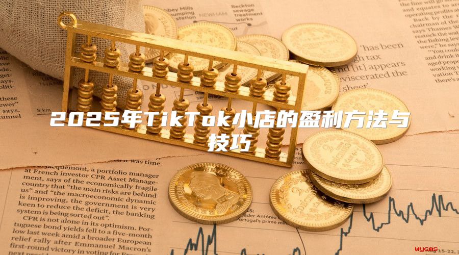 2025年TikTok小店的盈利方法与技巧