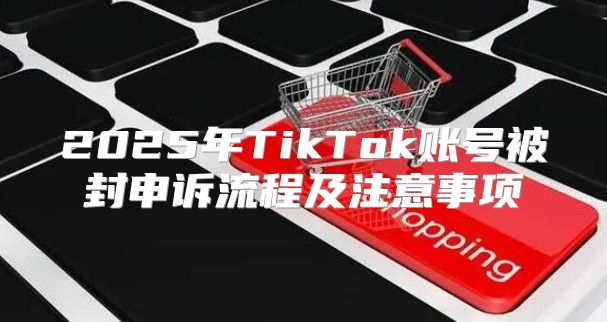 2025年TikTok账号被封申诉流程及注意事项