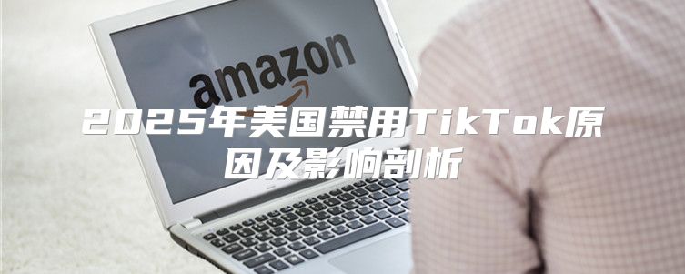 2025年美国禁用TikTok原因及影响剖析