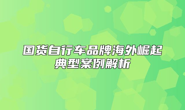 国货自行车品牌海外崛起典型案例解析