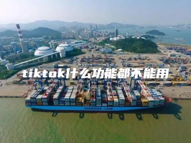 tiktok什么功能都不能用