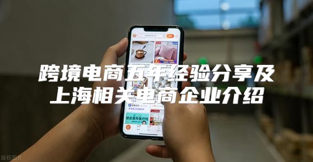 跨境电商五年经验分享及上海相关电商企业介绍