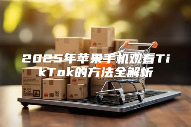 2025年苹果手机观看TikTok的方法全解析