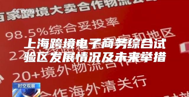 上海跨境电子商务综合试验区发展情况及未来举措