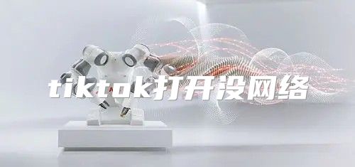 tiktok打开没网络