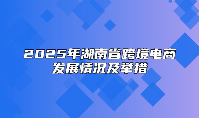 2025年湖南省跨境电商发展情况及举措
