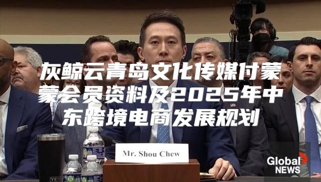 灰鲸云青岛文化传媒付蒙蒙会员资料及2025年中东跨境电商发展规划