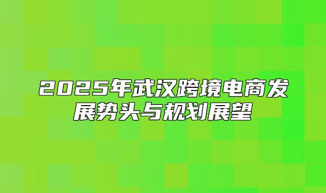 2025年武汉跨境电商发展势头与规划展望
