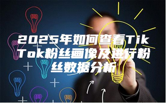 2025年如何查看TikTok粉丝画像及进行粉丝数据分析